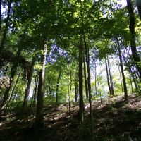Bowling Green 123 images 5