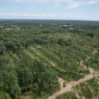 126 Acres On Dugger Lake images 4