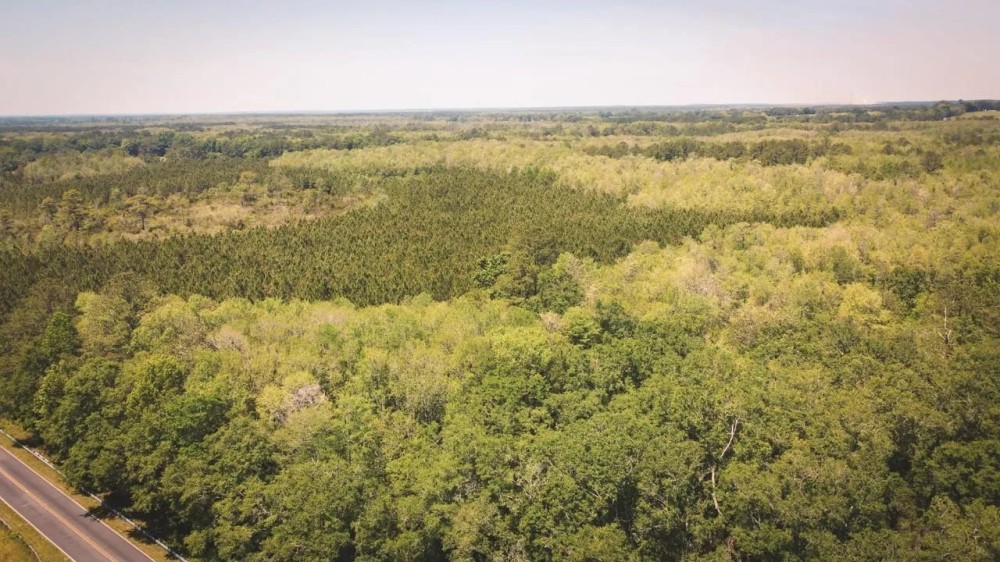 Flatwoods Tract B featured image