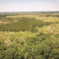 Flatwoods Tract B