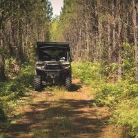 Flatwoods Tract B images 2