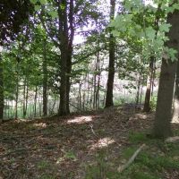 Fayette 105 images 4