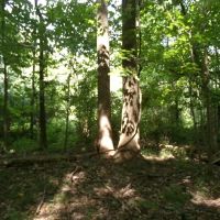 Fayette 105 images 5