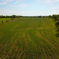 Osage County Farm Hunt images 3