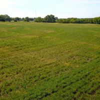 Osage County Farm Hunt images 4
