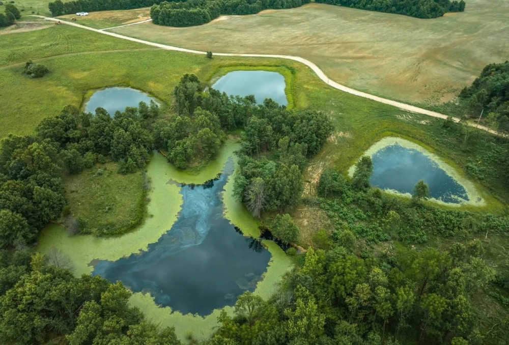 Moberly Whitetail Tract 6 featured image