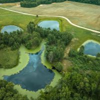 Moberly Whitetail Tract 6