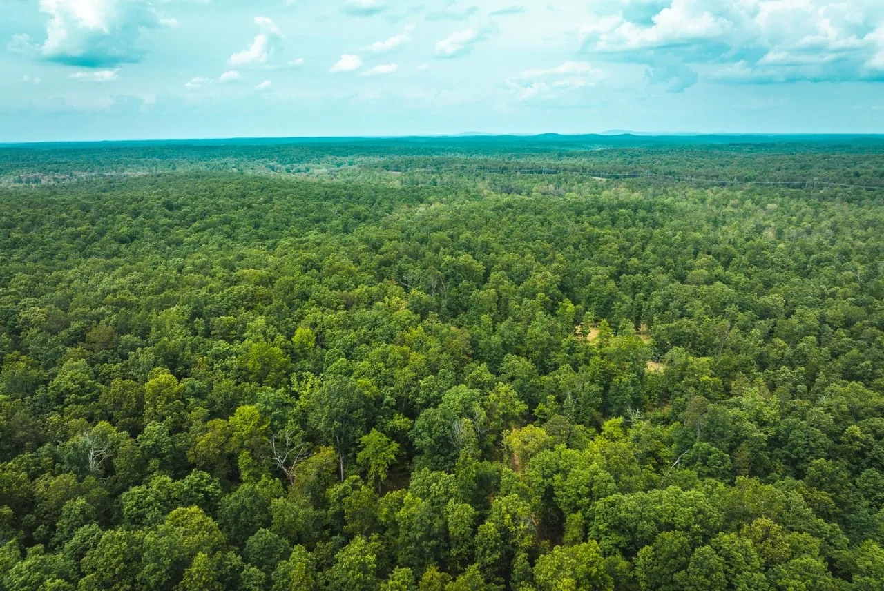 Highway 60 Game Camp Hunting Land for Sale