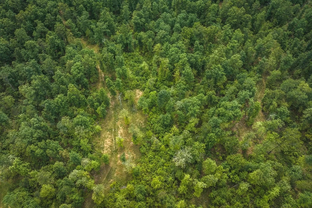 Highway 60 Game Camp Hunting Land for Sale