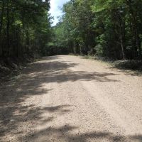 43.14 - Acres in McCall Creek with camp images 3