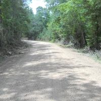 43.14 - Acres in McCall Creek with camp images 4
