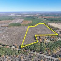 113 Acres Hwy 37 T-6 Kiskadee