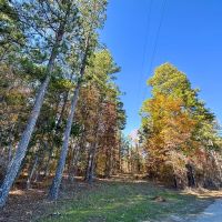 113 Acres Hwy 37 T-6 Kiskadee images 4