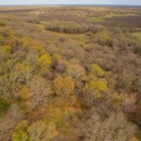 RS 38098 - 376 ac MX Ranch Rd Windthorst TX images 2