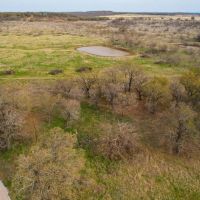 RS 38098 - 376 ac MX Ranch Rd Windthorst TX images 5