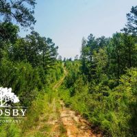 99 Road Tract East images 2