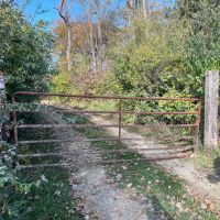 Wooded Building Lot in Jefferson County IA images 2