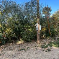Wooded Building Lot in Jefferson County IA images 3