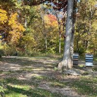 Wooded Building Lot in Jefferson County IA images 4
