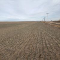 Roderick Farm