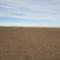 Roderick Farm images 4
