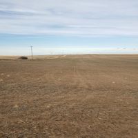 Roderick Farm images 5