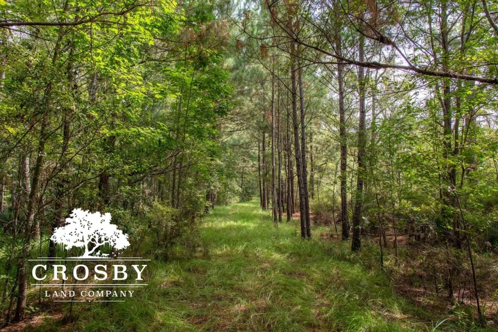 Combahee River Tract Hunting Land for Sale