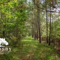 Combahee River Tract