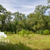 Combahee River Tract images 3