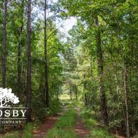 Combahee River Tract images 4