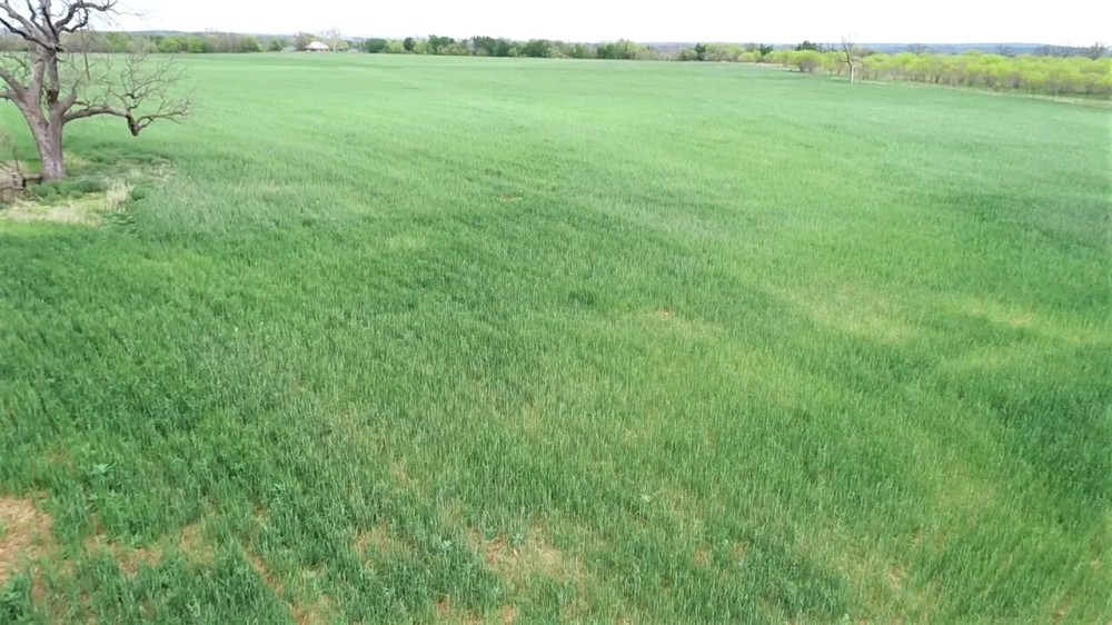 Land for Sale in Bend TX featured image