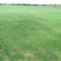 Land for Sale in Bend TX