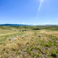 Bird Farm Ranch images 2