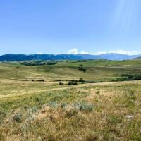 Bird Farm Ranch images 3