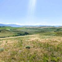 Bird Farm Ranch images 4