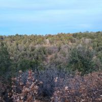 Lot 6 Gurly Canyon Ranch images 3