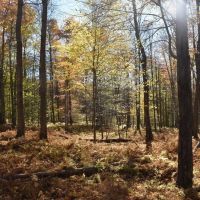 Prospect Hill images 2