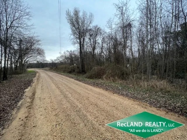 32 ac - Hardwood Hunting Tract featured image
