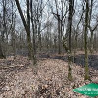 32 ac - Hardwood Hunting Tract images 2