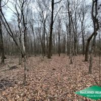 32 ac - Hardwood Hunting Tract images 3