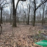 32 ac - Hardwood Hunting Tract images 5