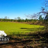Ritter Salkehatchie images 3
