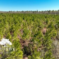 Ritter Salkehatchie images 4