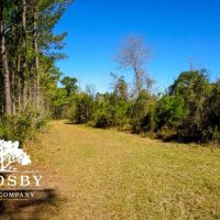 Ritter Salkehatchie images 5