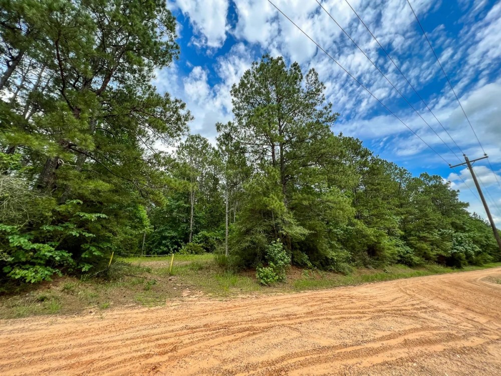 10 Acres T-14A Hickman Rd. featured image