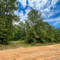 10 Acres T-14A Hickman Rd. images 1