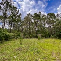 10 Acres T-14A Hickman Rd. images 2