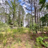 10 Acres T-14A Hickman Rd. images 3