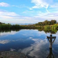 The Preserve at Cornerstone images 3