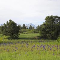 The Preserve at Cornerstone images 5